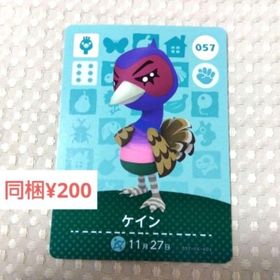 ニンテンドースイッチ(Nintendo Switch)の【あつまれどうぶつの森】amiibo/ケイン/057(その他)