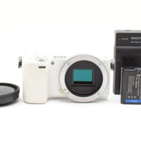 ★液晶黄変あり品★ソニー SONY NEX-5R ボディ #22408