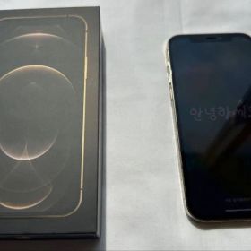 iPhone 12 Pro 256GB ゴールド ジャンク 背面割れ 画面交換済