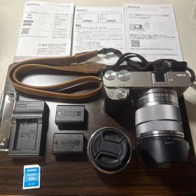 SONY α6000 ミラーレス一眼