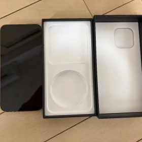 Apple iPhone 13 Pro 256GB