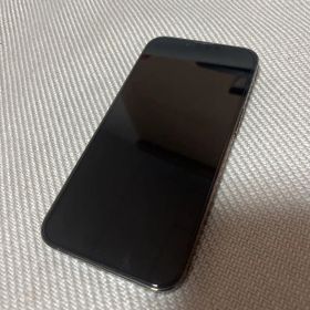 iPhone 13 Pro 本体 ミッドナイトグリーン