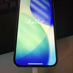 iPhone13 Pro 256GB シルバー SIMフリー 背面割 イヤホン付