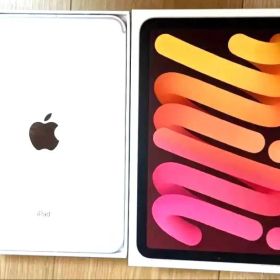iPad mini 2021 (第6世代) Celler モデル 中古 45,000円 | ネット最