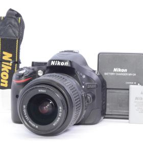 Nikon D5200 18-55mm VR レンズキット 現状品 一部難あり 付属品あり