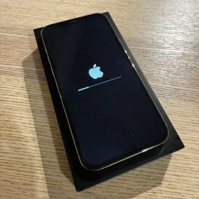 香港版 iPhone 12 Pro Max 256GB 箱有り シャッター音無し