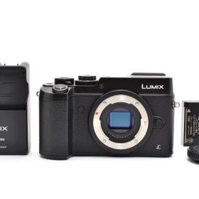 ★極上美品★ ★ショット数1459回★ パナソニック Panasonic LUMIX GX8 DMC-GX8 ブラック 充電器付き ARYM6150 #55