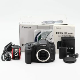 ショット数2539回 Canon EOS7DMK2 #3453(デジタル一眼)