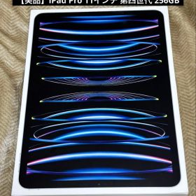【美品】iPad Pro 11インチ 第4世代 256GB