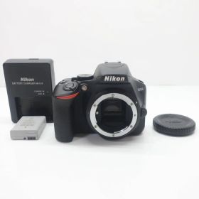 Nikon ニコン D3500 ショット数3200枚 美品
