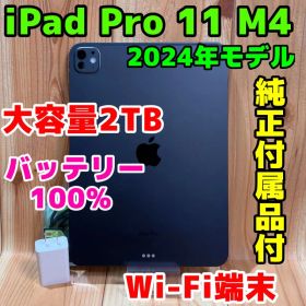 Wi-Fi iPad Pro 11インチ M4 第5世代 2024年 437