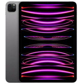 iPad Pro 11インチ 第4世代 Wi-Fi 1TB 2022年秋モデル MNXK3J/A [スペースグレイ]