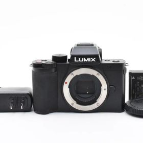 ■美品■ パナソニック LUMIX DC-G100 ボディ