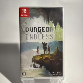 ダンジョン オブ ジ エンドレス Switch版