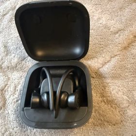 Beats Powerbeats Pro ワイヤレスイヤホン 本体
