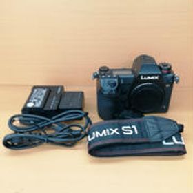 ミラーレス一眼ボディ DC-S1 PANASONIC
