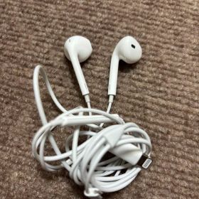 Apple EarPods with Lightning Connector