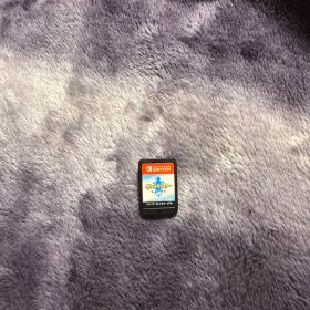 Nintendo Switch ポケットモンスター ソード ソフト