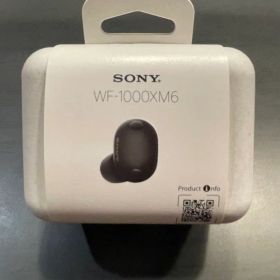 SONY WF-1000XM6 ワイヤレスイヤホン
