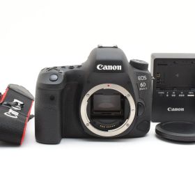 ■5061ショットのほぼ新品■ キャノン EOS 6D Mark II デジタル一眼レフカメラ #D219