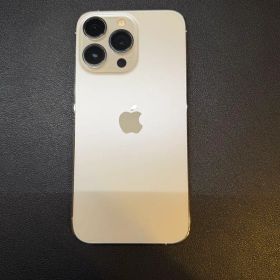 Apple iPhone 13pro