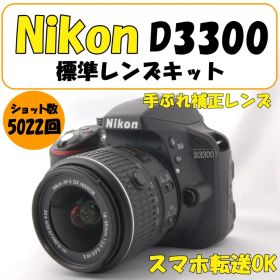 【美品】Nikon D3300 一眼レフ カメラ 低ショット 撮影 運動会