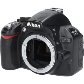 Ｄ３１００