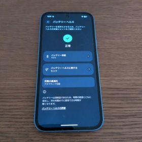 【美品】Google Pixel 9a 128GB アイリス SIMフリー