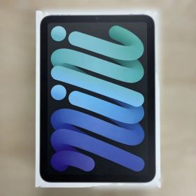 iPad mini 第6世代Wi-Fi +セルラー256 GB スペースグレー