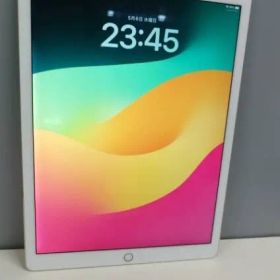 【Wi-Fiモデル】iPad Pro 12.9インチ 第2世代/A1670/256GB〈MP6J2TA/A〉