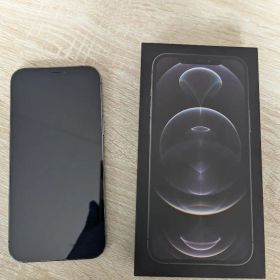 Apple iPhone 12 Pro Max 本体