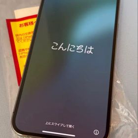 iphone13pro max 256gb