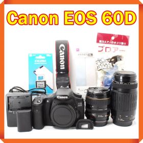 Canon EOS 60D 一眼レフカメラ スマホ転送 ダブルレンズ キヤノン