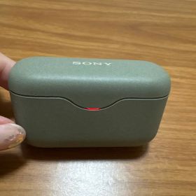 SONY ワイヤレスイヤホン WF-H800 本体