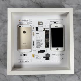 【超特価】iPhone 5S GOLD 標本アート ボックスフレーム仕様