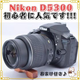 Nikon ニコン D5300 カメラデビューレンズセット Wi-Fi付き