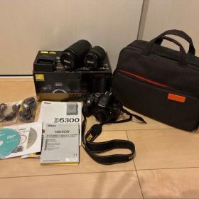 【美品】Nikon D5300 収納バッグ付き