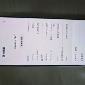 Samsung Galaxy S25 本体
