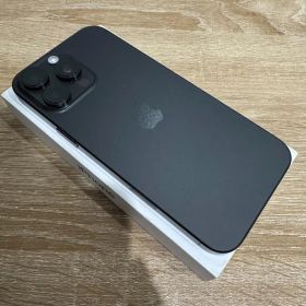 バッテリー95% iPhone 16 Pro Max 256GB