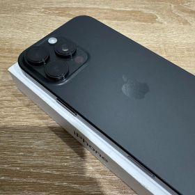 バッテリー100% iPhone 16 Pro Max 256GB