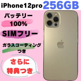iPhone12Pro 256GB SIMフリー バッテリー100% #517