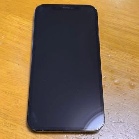 Apple iPhone 12 Pro 本体