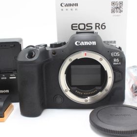 1000ショット以下！Canon EOS R6 MarkⅡ キヤノン