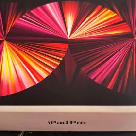 ipad pro 11 第3世代256GB セルラーモデルMagic キーボード