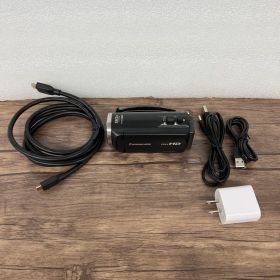 265287 パナソニック HDビデオカメラ V480MS 32GB