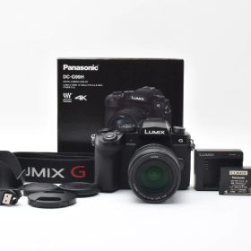 ★現状品★ パナソニック Panasonic LUMIX ルミックス DC-G99H レンズキット ショット数12614回 デジタル一眼カメラ ★ #8463
