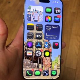 Apple iPhone 16 Pro Max 本体 256GB