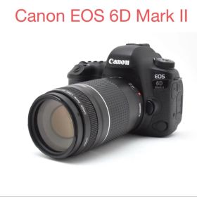 デジタル一眼レフカメラCanon EOS 6D Mark II 望遠レンズセット