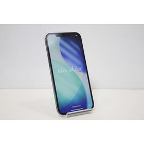 iPhone12 Pro Max MGCX3J/A Apple iOS docomo SIMロック解除済み SIMフリー 残債なし 128GB パシフィックブルー