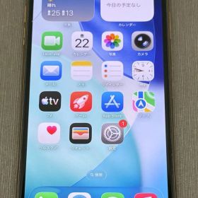 【ジャンク】iPhone11 Pro Max 256GB ゴールド docomo -SP865-